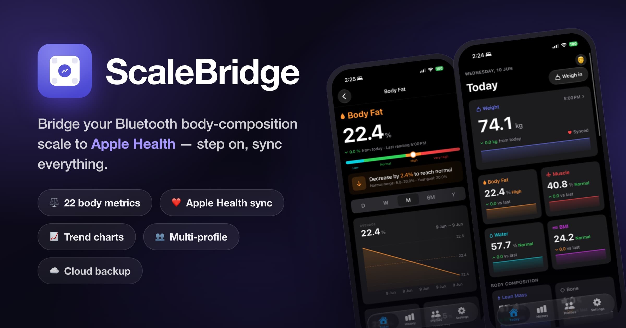 scalebridge-ios